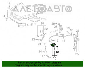 Capota de la Lexus RX300 RX330 RX350 RX400h 04-09