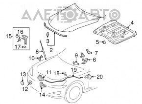 Capota de blocare a capotei Lexus IS250 IS300 IS350 06-13