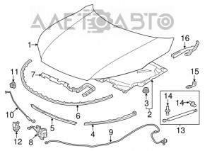 Capota goală a unui Honda Accord 16-17 hibrid, restilizat, de culoare albastru B553P.