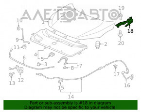 Buclele capotei dreapta Honda Civic X FC 16-21 nou TW neoriginal.