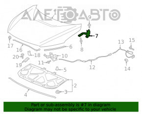 Bucla capotei dreapta Honda Clarity 18-21 SUA