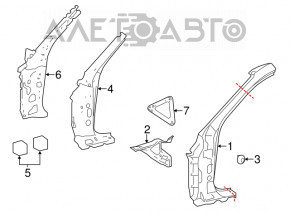 Amplificator aripi dreapta interna Lexus IS 14-20