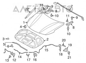 Bara de protectie capota leu Kia Optima 16 - nou original OEM