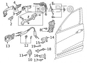 Şuruburi balamale uşă faţă stânga superioară, 2 bucăţi, Honda Clarity 18-21 SUA, pe caroserie.