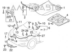 Balamalele capotei din fata dreapta 4 buc Lexus GS300 GS350 GS430 GS450h 06-11