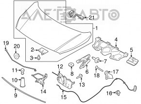 Buclă capotă dreapta Ford Transit Connect MK2 13-