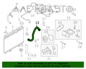 Furtunul de răcire inferior Ford Fiesta 11-19 1.6