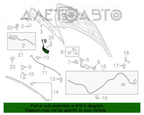 Capota de la Ford Escape MK3 13-19 fără senzor.