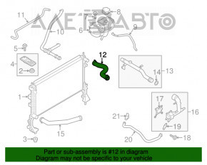 Furtunul de răcire superior pentru Ford Mustang mk6 15- 2.3T