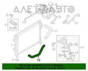 Патрубок охлаждения нижний Ford Mustang mk6 15- 3.7