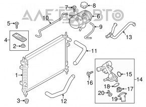 Патрубок охлаждения нижний Ford Mustang mk6 15- 3.7