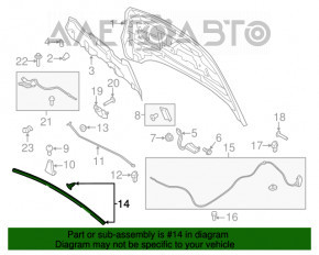 Garnitura capotei Ford Escape MK3 17-19 restilizat