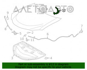 Buclă capotă stânga Lexus UX200 UX250h 19-