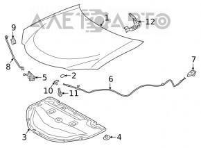 Capota de la Lexus UX200 UX250h 19-