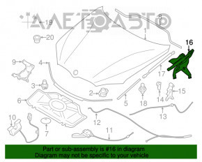 Bucla capotei dreapta BMW X5 F15 14-18