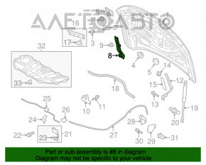 Capota cu capota Audi A6 C7 12-18 pe capota