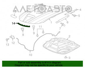 Уплотнитель капота на капоте Dodge Challenger 15-19