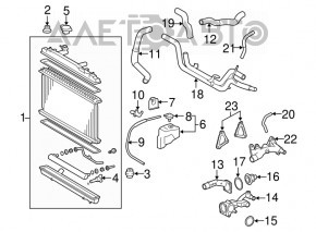 Furtunul de răcire inferior Toyota Avalon 05-12