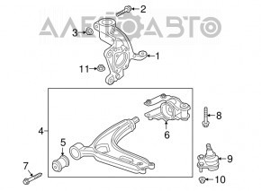 Цапфа передняя левая VW Atlas 18- AND