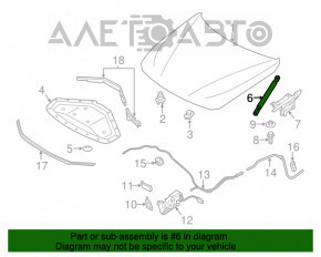 Amortizor capota stânga BMW 3 F30 12-18