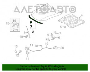 Garnitura capotei pentru capota Lexus IS250 IS350 06-13