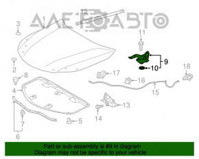 Capota dreapta a Lexus ES300h ES350 13-18, noua, originala OEM.