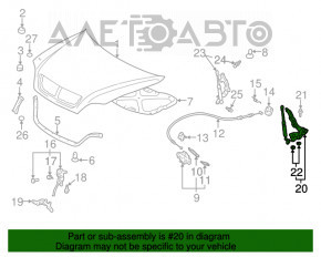 Buclele capotei dreapta pentru Lexus RX300 98-03, noi, originale OEM