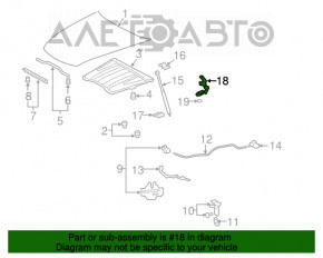 Capota dreapta a Lexus LS460 LS600h 07-12, noua, originala