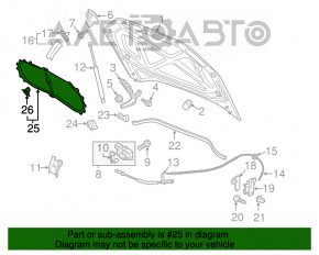 Izolarea capotei VW Passat b8 16-19 SUA