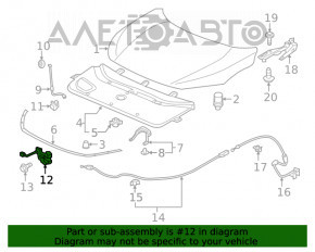 Capota Honda Civic X FC 16-21