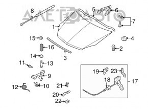 Bara de capota stanga pentru Chevrolet Malibu 16-