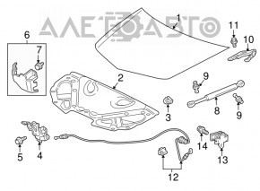 Amortizor capota Acura MDX 14-16 Dorest nou original OEM