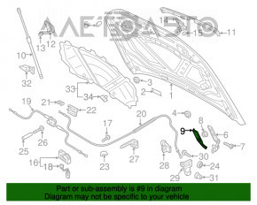 Capota cu balamale stânga Audi Q3 8U 15-18