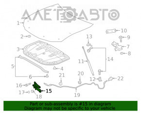 Capota Lexus ES350 19