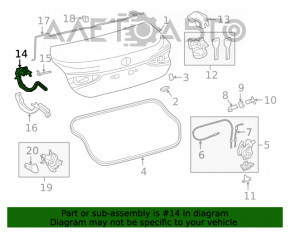 Buclele capacului portbagajului dreapta Lexus ES250 ES300h ES350 19-21 cu acționare