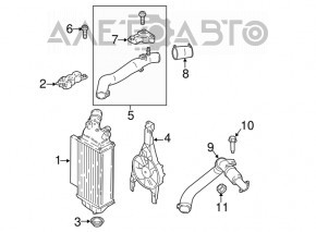 Furtunul intercoolerului superior al doilea pentru Ford Ecosport 18-21 1.0T