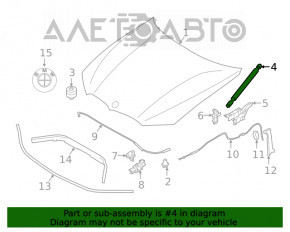 Amortizor capota stanga BMW 3 G20 19-