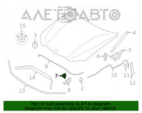 Capota mate stanga BMW 3 G20 19 - nou original OEM